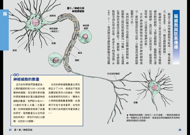 內頁5