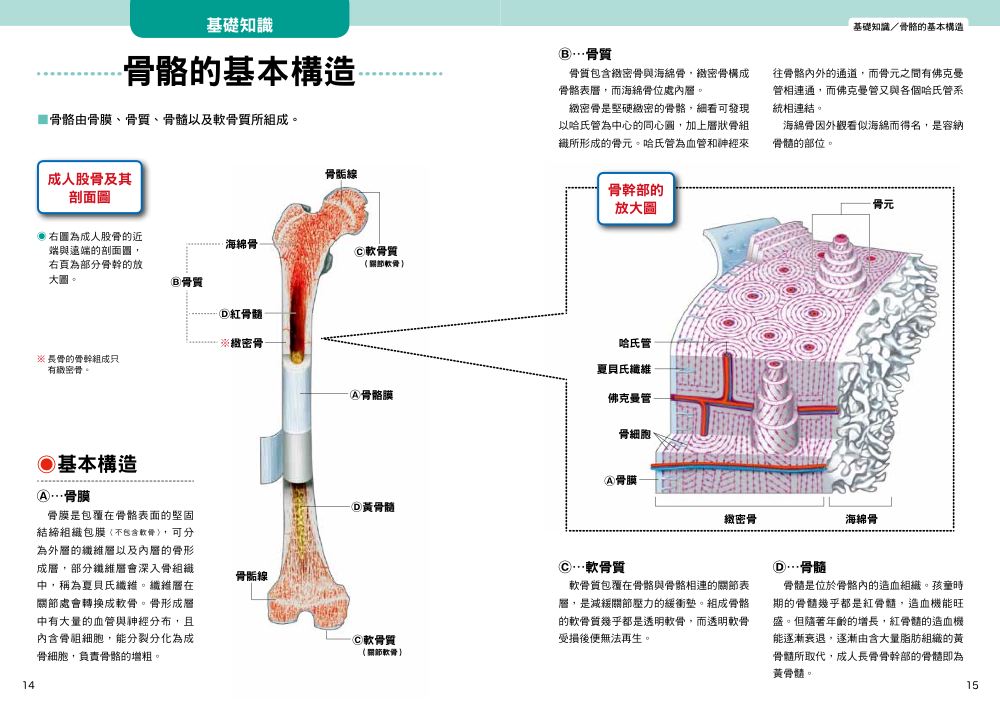 內頁3