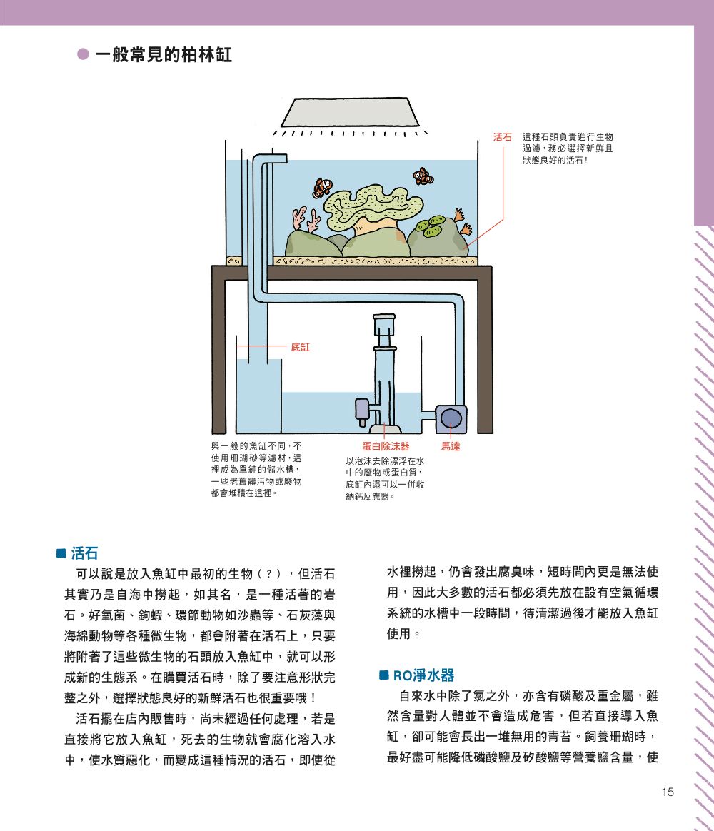 內頁2