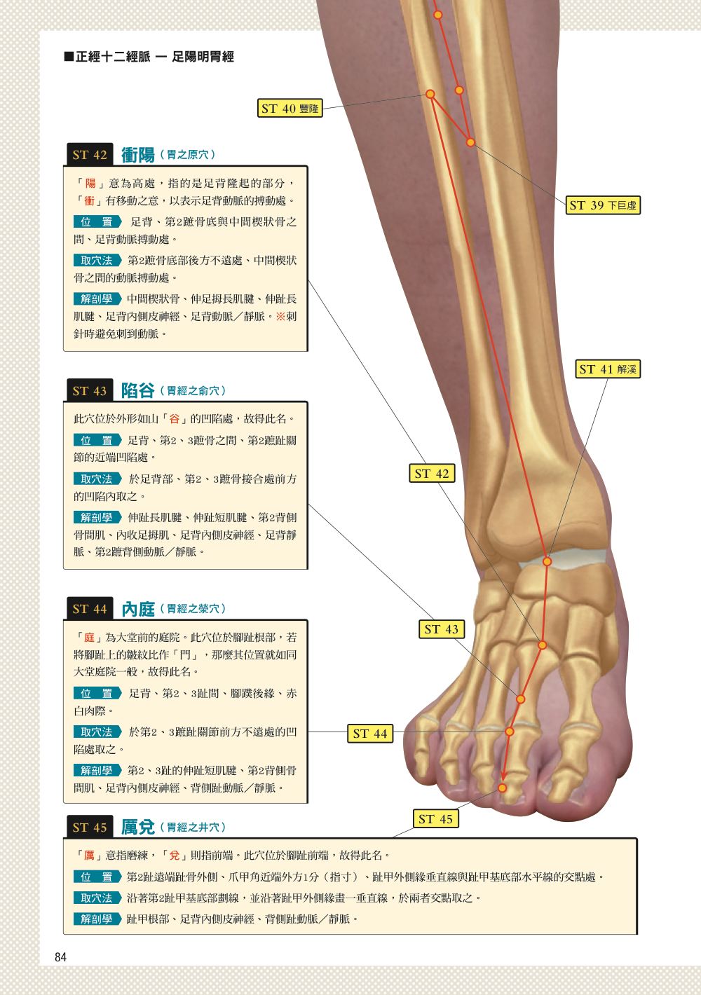 內頁6