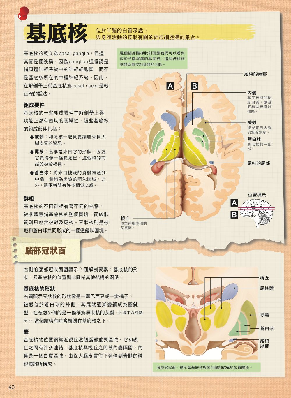 內頁9