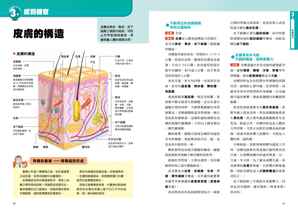 內頁6