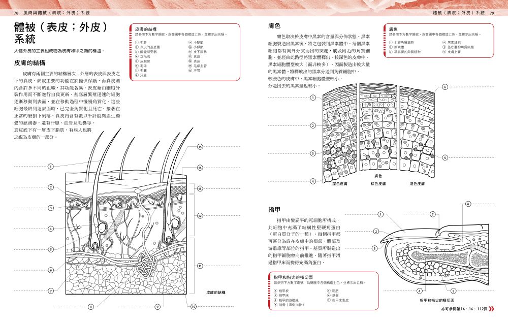 內頁6