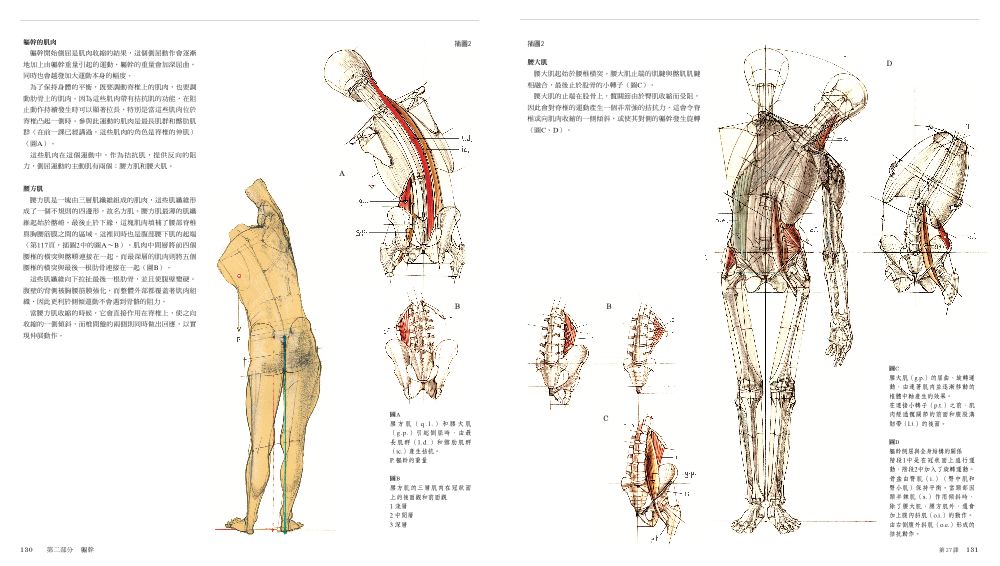 內頁5