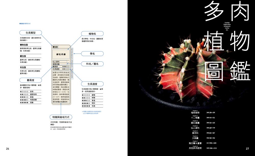 內頁4