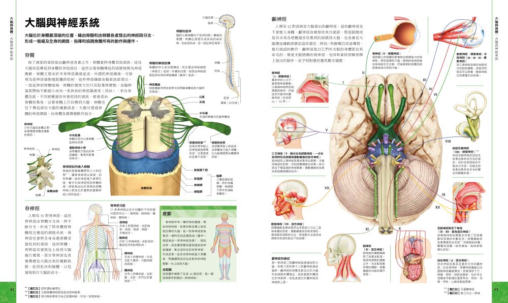 內頁3