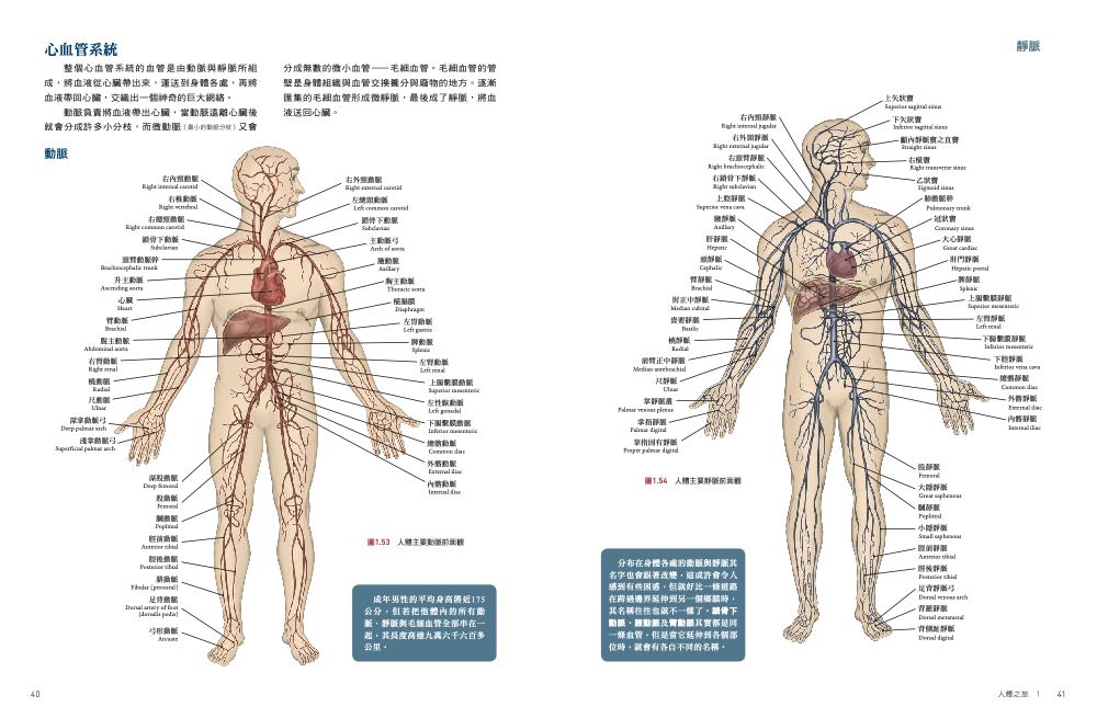 內頁2