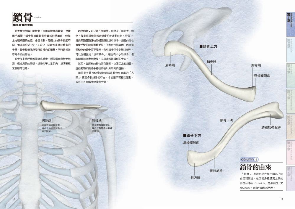 內頁2