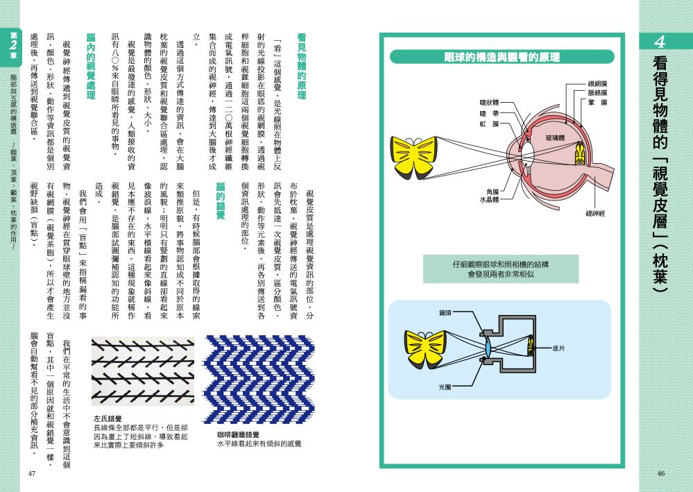 內頁4