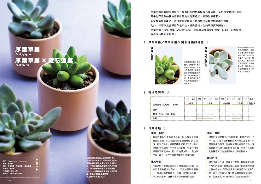內頁6