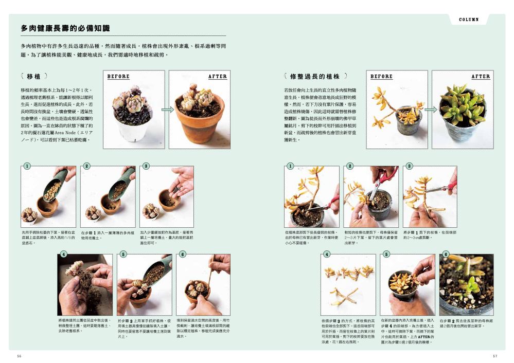 內頁9
