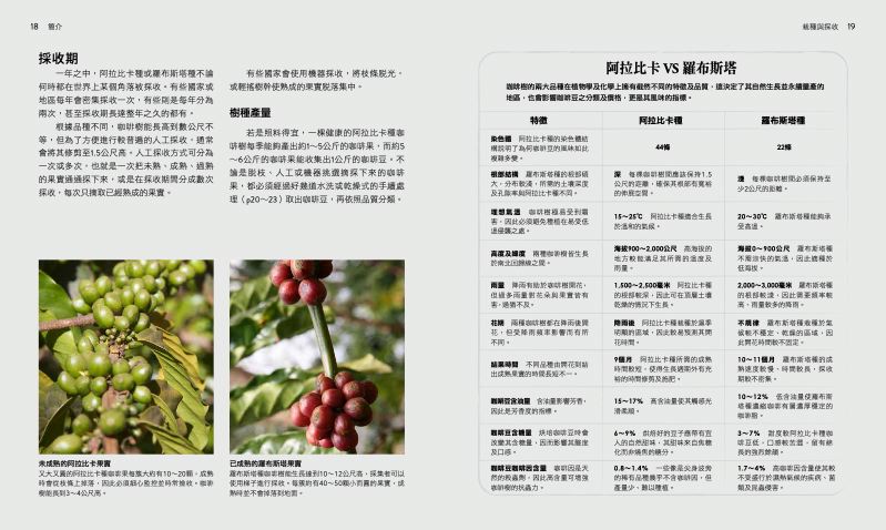 內頁 3