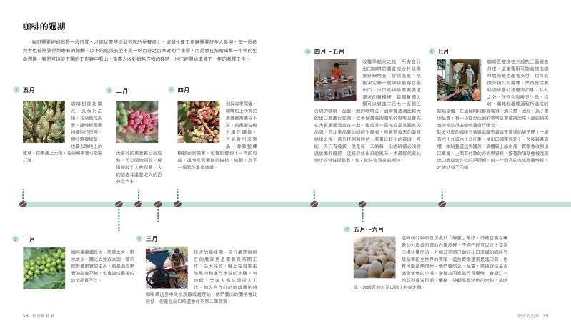 內頁 6