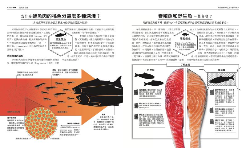 內頁 4
