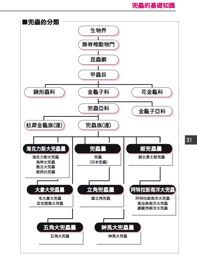 內頁 6