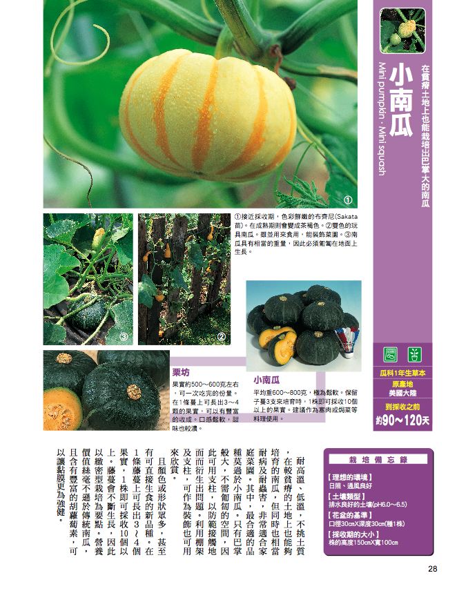 內頁 2