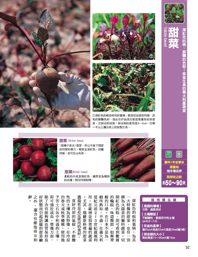 內頁 4