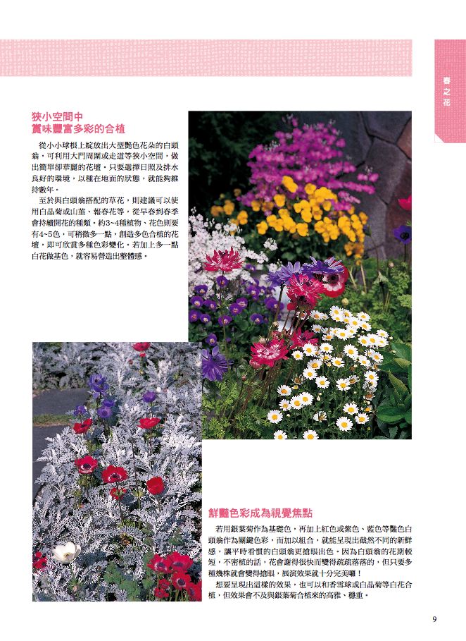 內頁 2