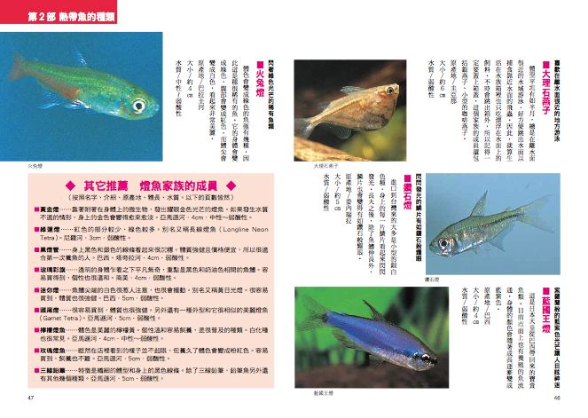 內頁 9