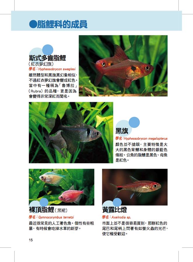 內頁 4