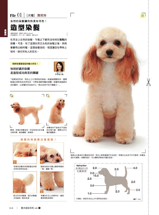 內頁 5