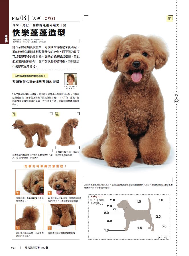 內頁 7