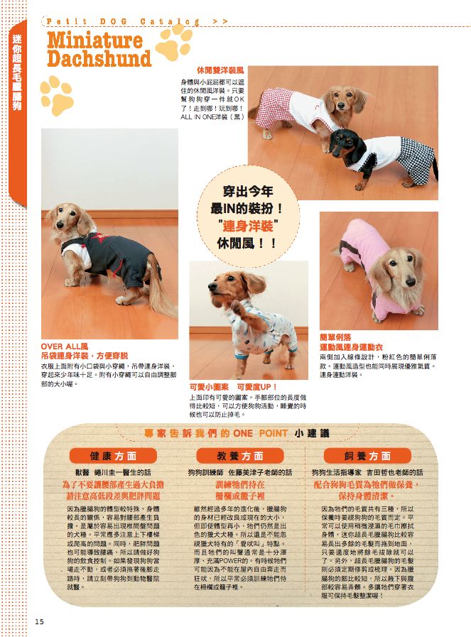 內頁 8