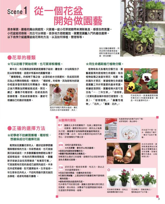 內頁 2