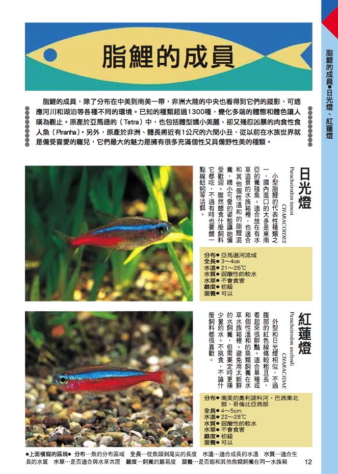 內頁 1