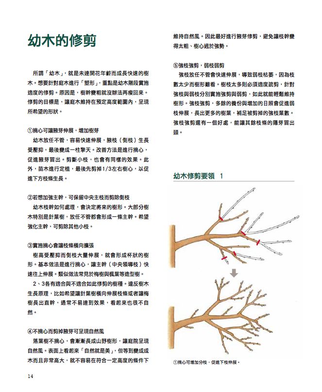 內頁 1