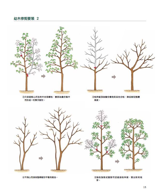 內頁 2