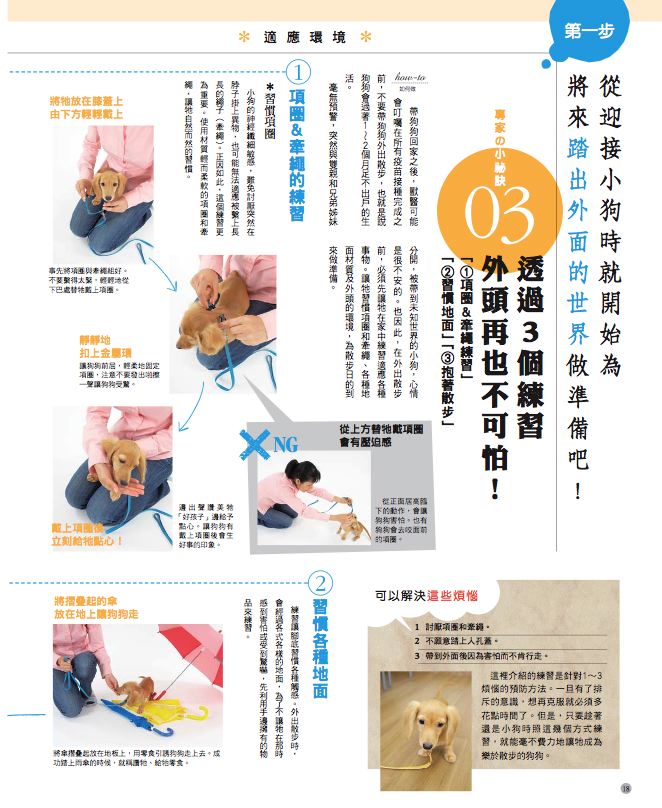 內頁 5