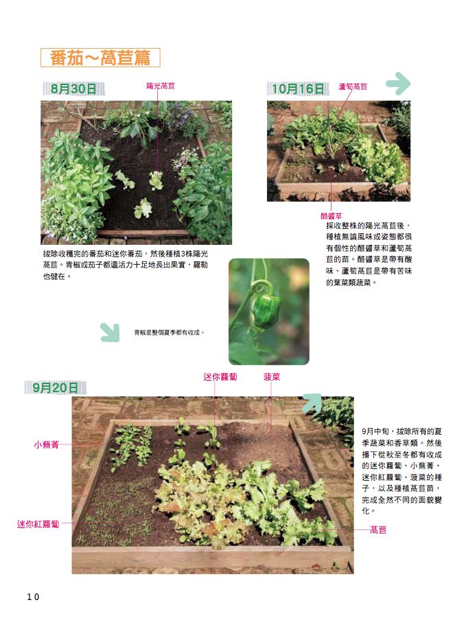 內頁 3