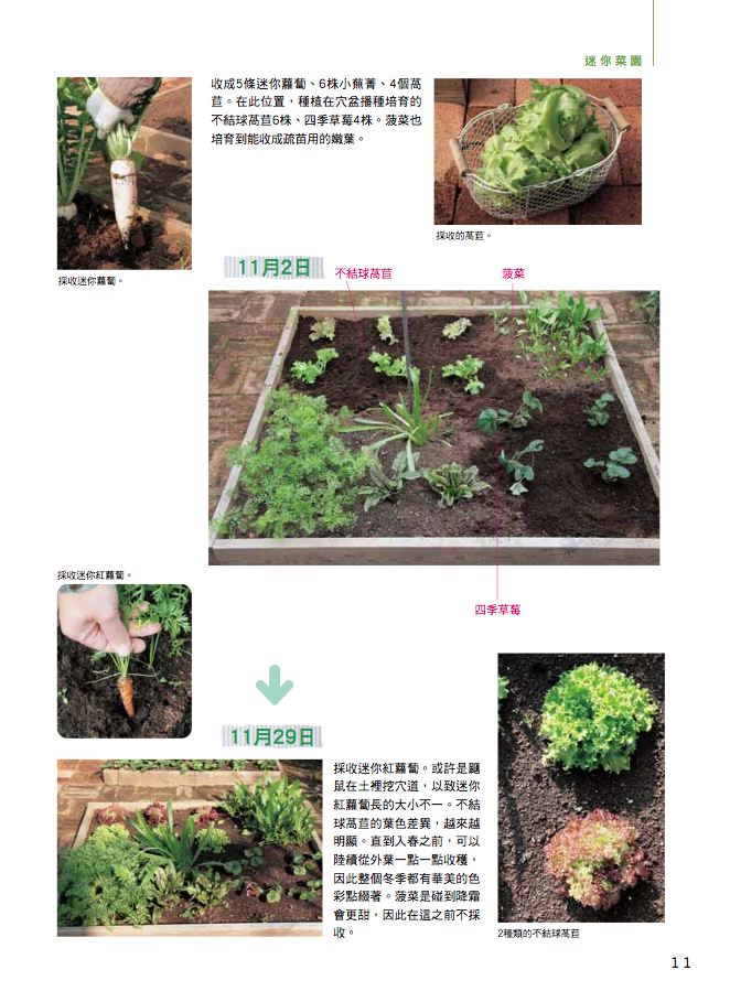 內頁 4