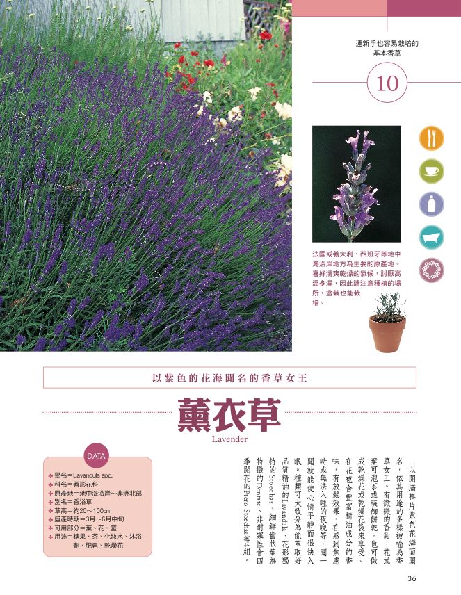 內頁 4