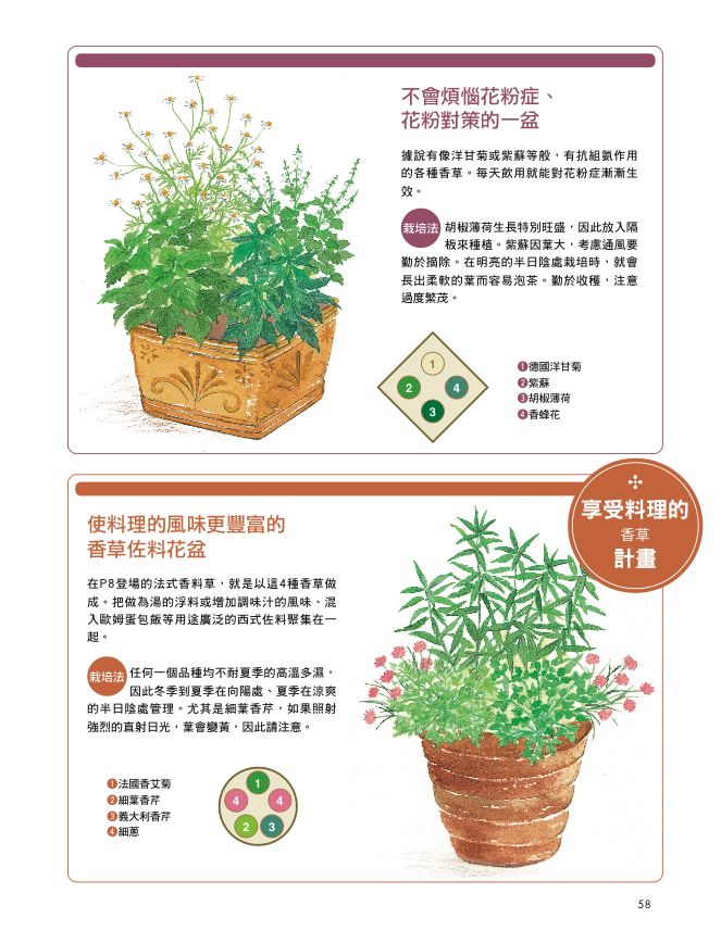 內頁 6