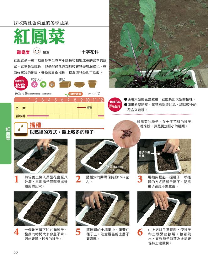 內頁 3