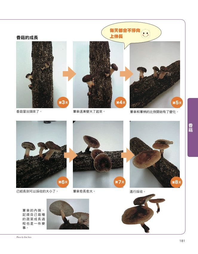 內頁 6