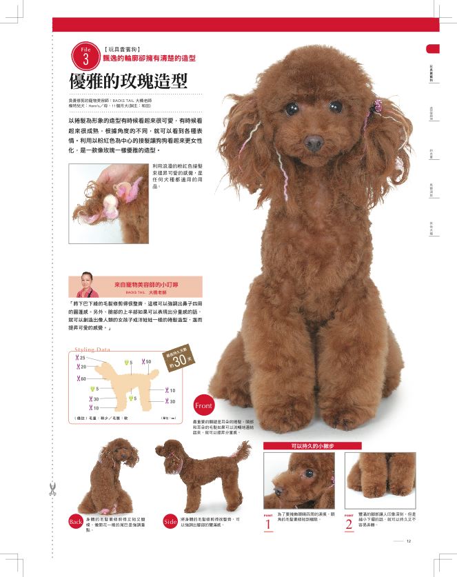 內頁 2