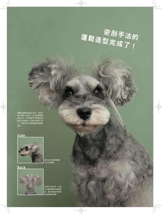 內頁 5