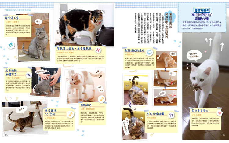 內頁 8