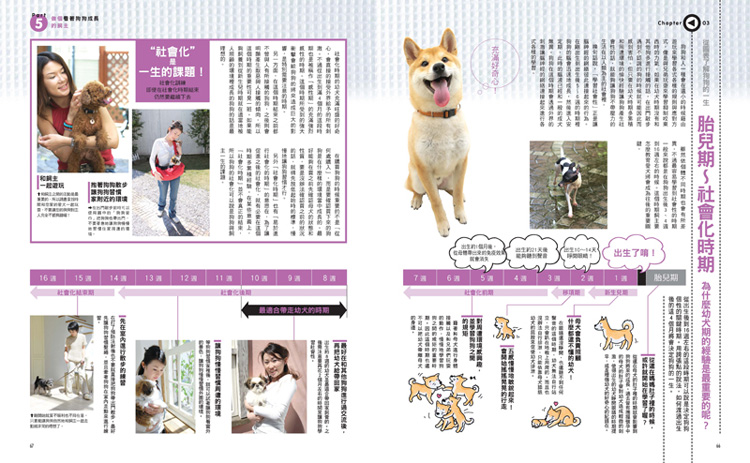 內頁 6