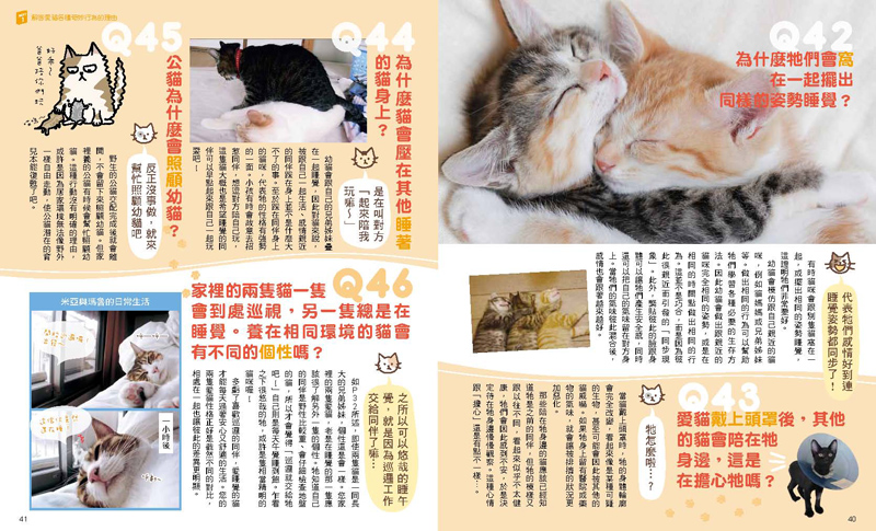 內頁 6