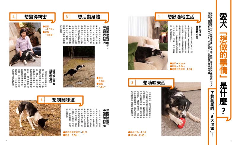 內頁 2