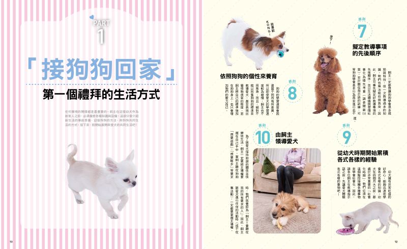 內頁 4
