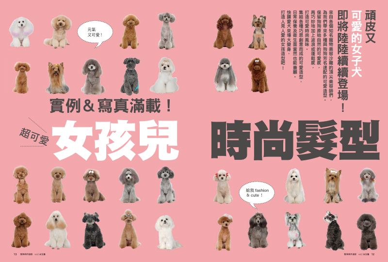 內頁 6