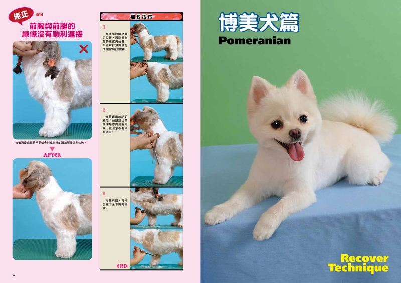 內頁 9