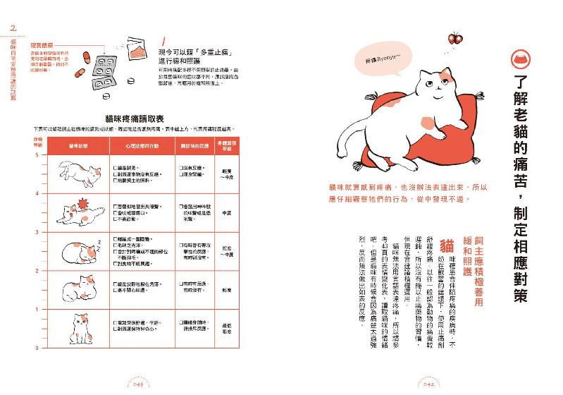內頁 6