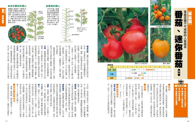 內頁 2