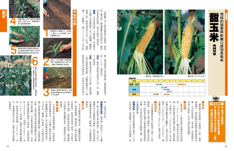 內頁 4